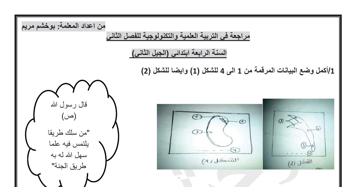 رأس الصفحة الأولى من مراجعة التربية العلمية والتكنولوجية للسنة الرابعة ابتدائي الفصل الثاني