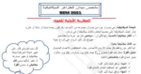 رأس الصفحة الأولى من ملخص الظواهر الميكانيكية: القوة والثقل وتوازن الجسم – 4 متوسط