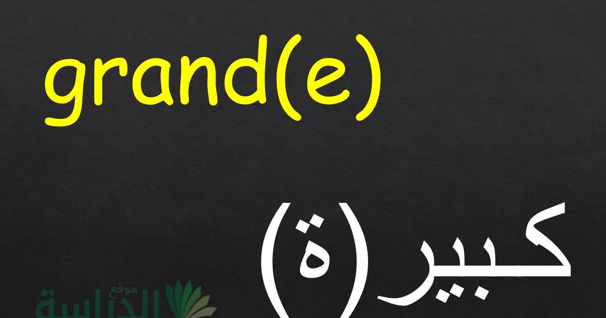 رأس الصفحة الأولى من بطاقات الصفات بالعربية والفرنسية: grand، petit، gros، long، fort