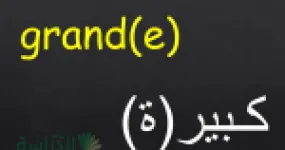 رأس الصفحة الأولى من بطاقات الصفات بالعربية والفرنسية: grand، petit، gros، long، fort