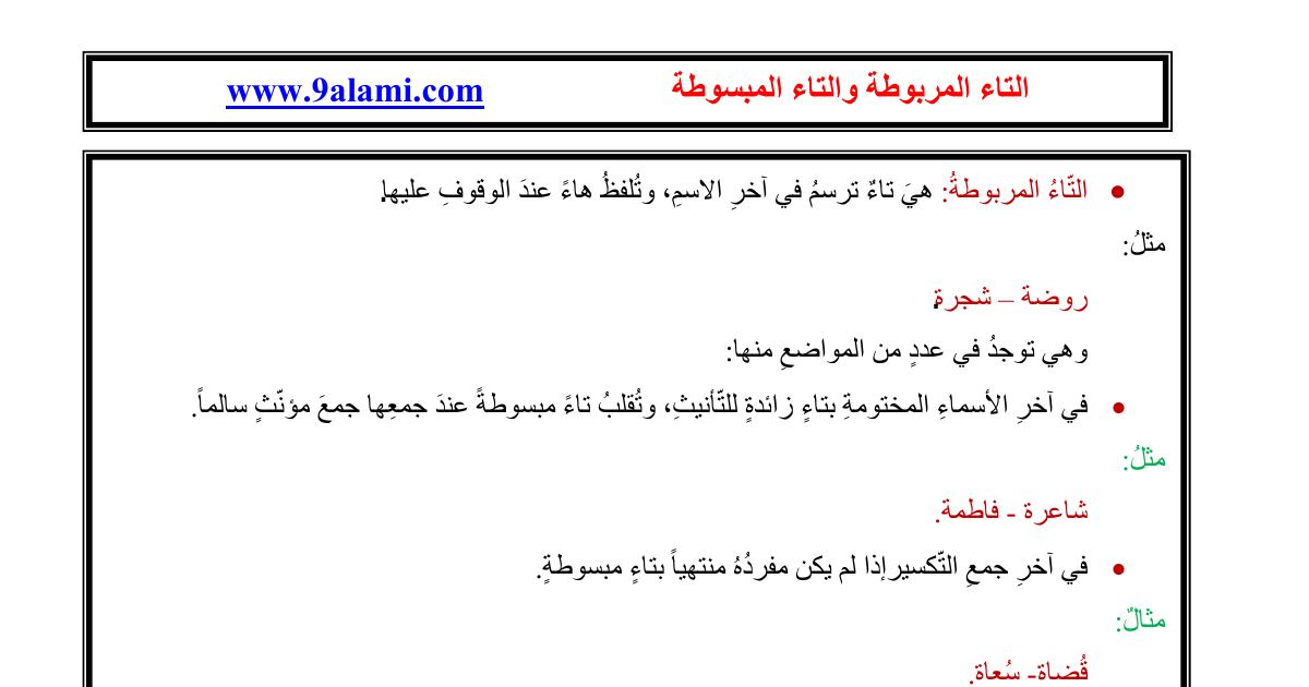 رأس الصفحة الأولى من درس قواعد التاء المربوطة والتاء المبسوطة في اللغة العربية