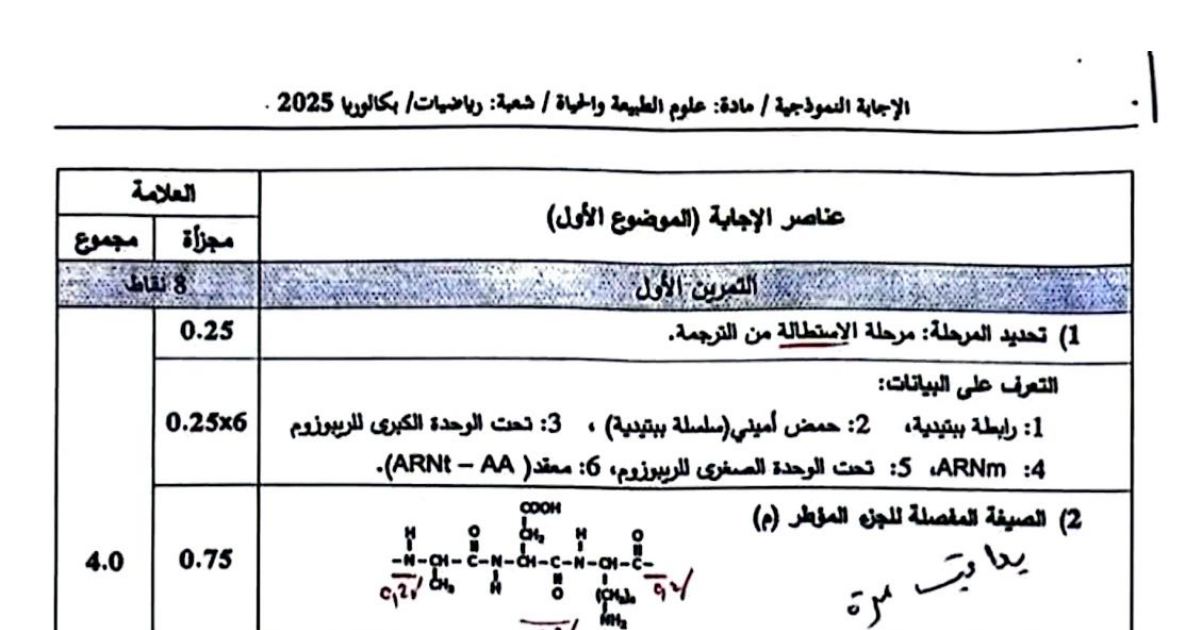 رأس الصفحة الأولى من تصحيح موضوع بكالوريا 2025 في علوم الطبيعة والحياة - شعبة رياضيات - الترجمة والاستجابة المناعية