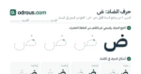 رأس الصفحة الأولى من حرف الضاد بالصور للقسم التحضيري: تتبع وتلوين وبحث