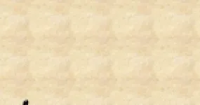 رأس الصفحة الأولى من اختبارات في اللغة العربية للسنة الخامسة ابتدائي – الثعلب والديك ووصف الوطن والمدينة