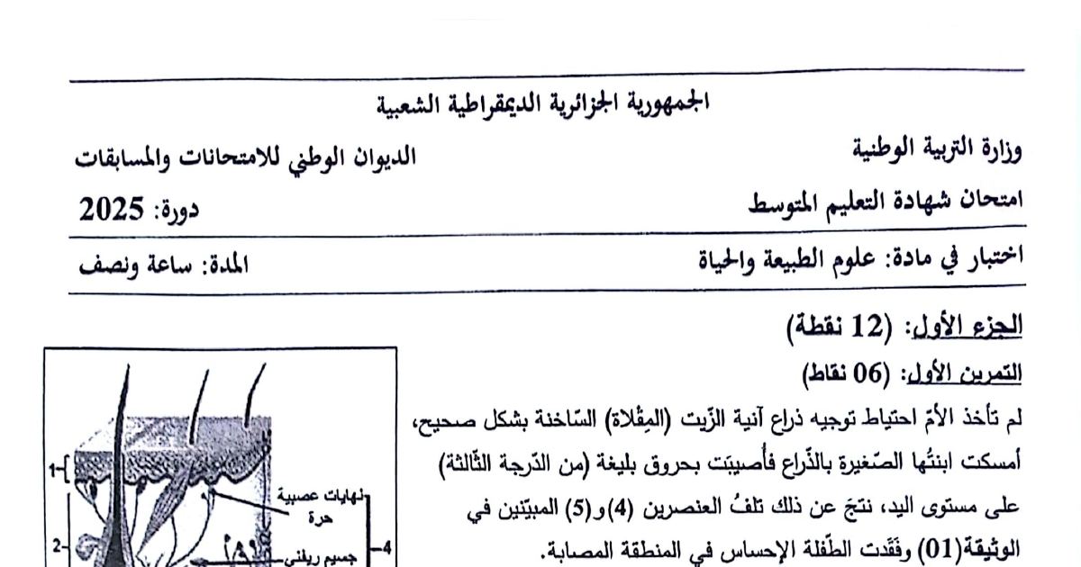 رأس الصفحة الأولى من موضوع علوم الطبيعة والحياة لشهادة التعليم المتوسط BEM 2025: الحساسية العصبية، مقطع في الجلد