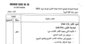 رأس الصفحة الأولى من حل موضوع اللغة العربية لشهادة التعليم المتوسط BEM 2023: مصادر القيم الاجتماعية، البدل المطابق