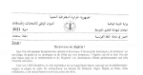 رأس الصفحة الأولى من موضوع اللغة الفرنسية لشهادة التعليم المتوسط BEM 2021: وصف التنوع السياحي في الجزائر، فهم المكتوب
